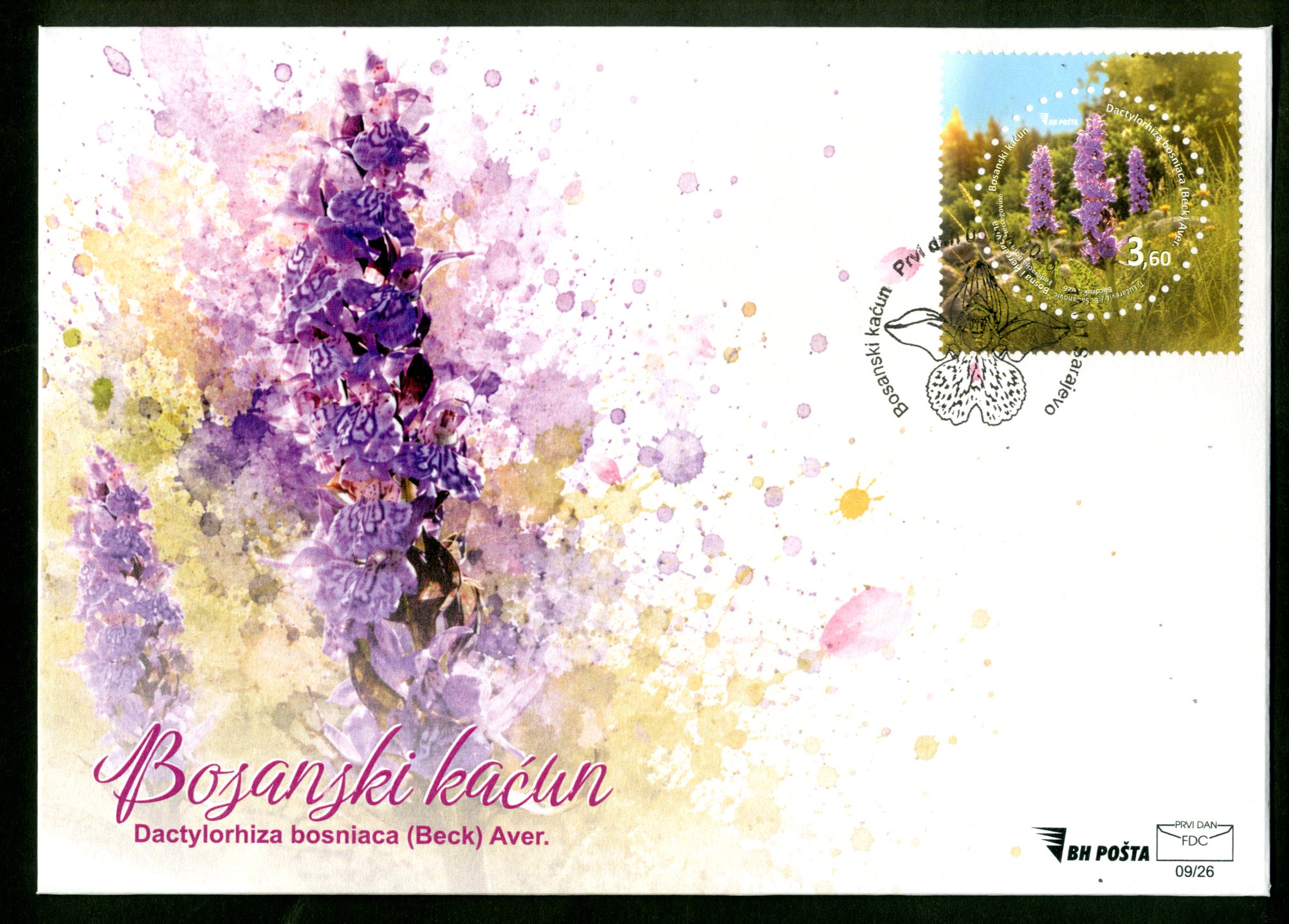 fdc-bosnian-crocus